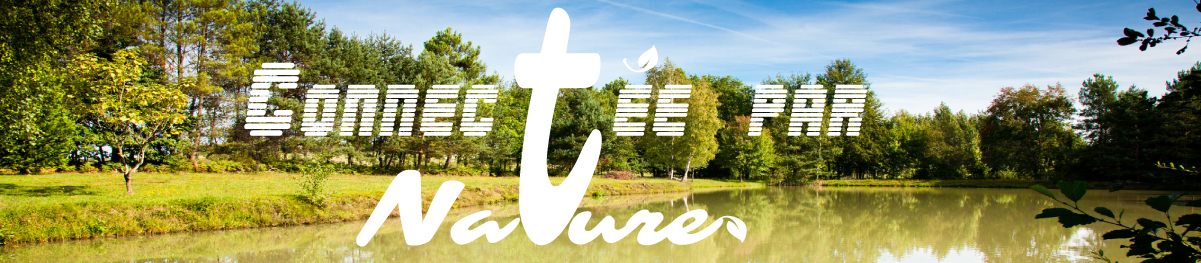 visuel du bandeau de la page d'accueil