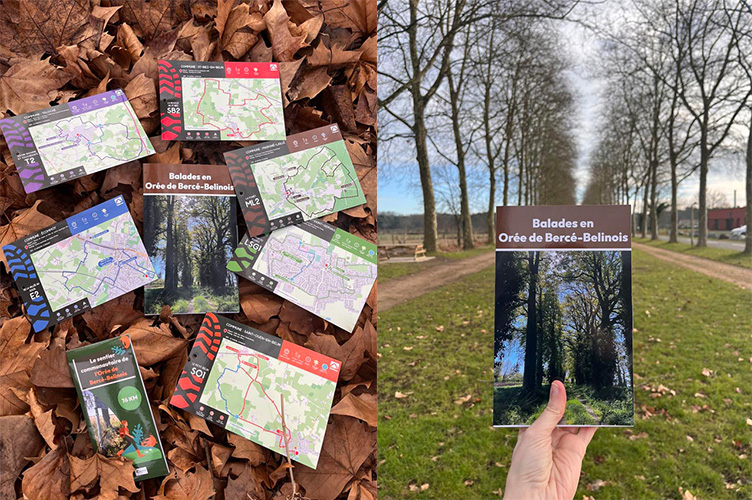 Photo de la page les randonnées pédestres