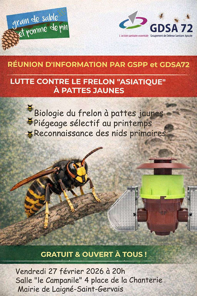 Affiche sur la réunion d'information frelon asiatique en date du 27-02-2026
